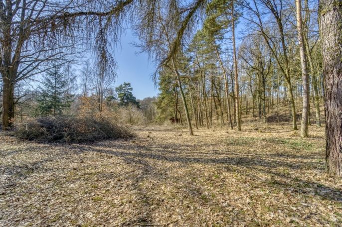 Prodej, Zahrada, Kunějovice