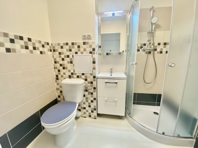 Pronájem, Byt 1+1, Ostrava