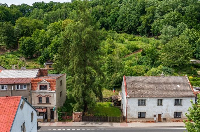 Prodej, Pozemek k bydlení, Benešov nad Ploučnicí