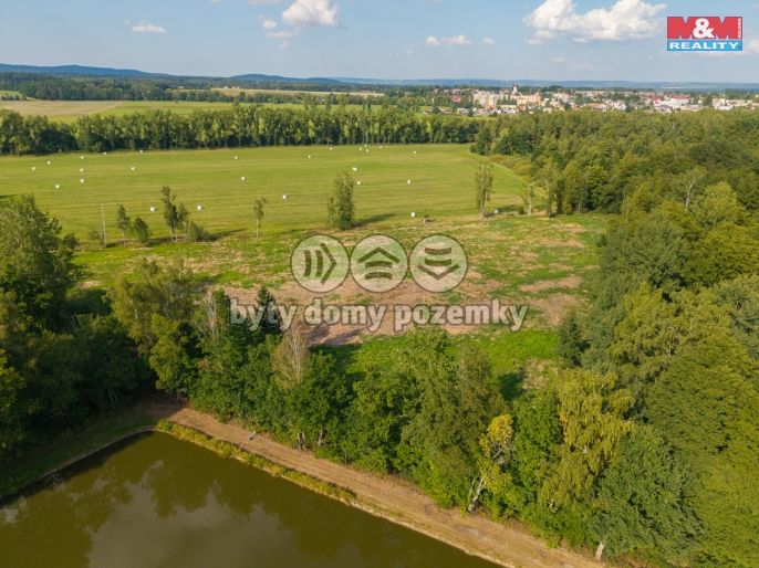 Prodej, Louka, Františkovy Lázně