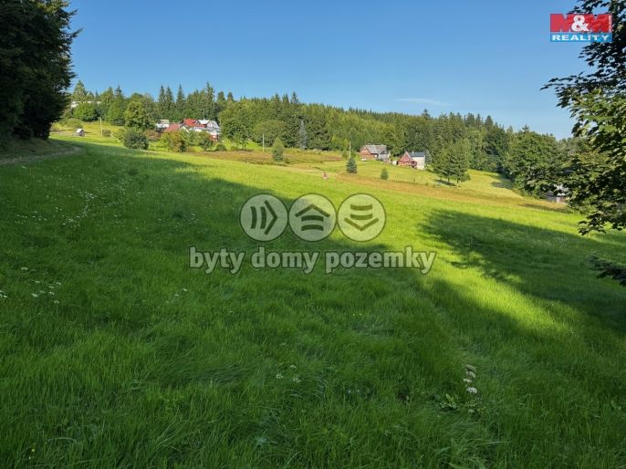 Prodej, Louka, Kořenov