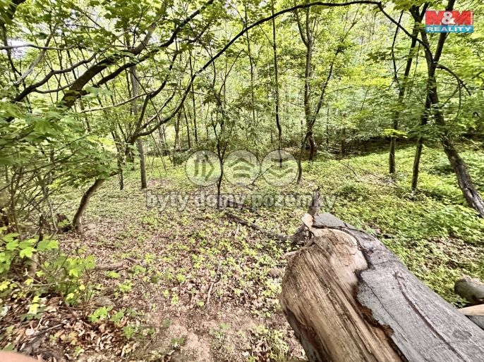 Prodej, Zahrada, Horní Jiřetín