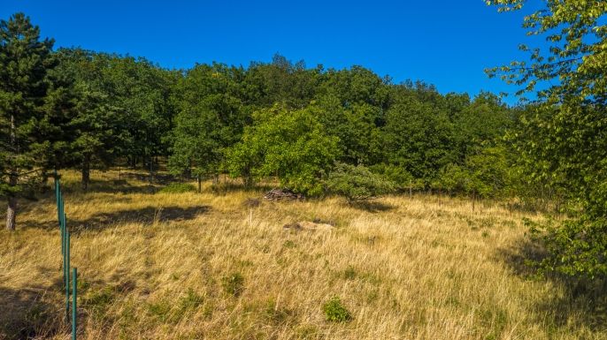 Prodej, Pozemek k bydlení, Kralupy nad Vltavou