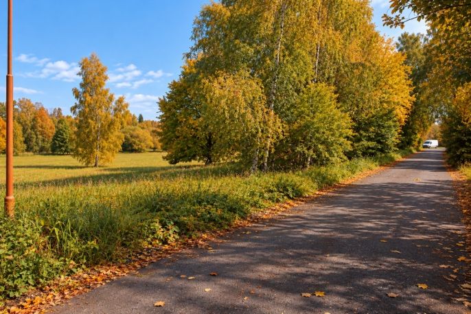 Prodej, Pozemek k bydlení, Zruč nad Sázavou