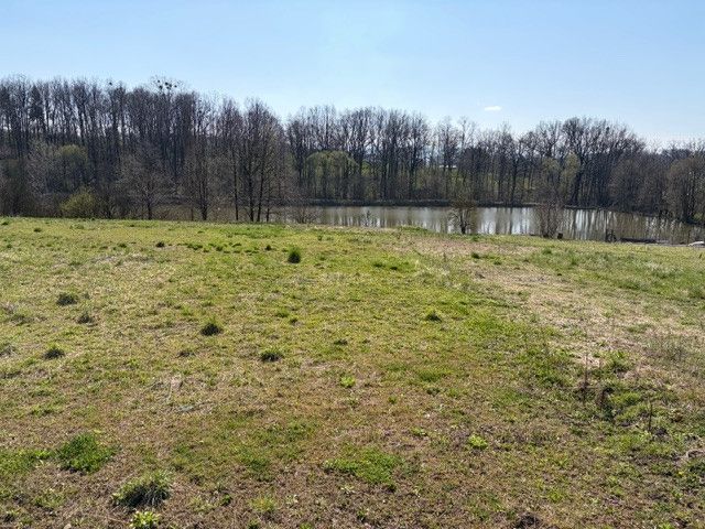 Prodej, Komerční pozemky, Stará Ves nad Ondřejnicí