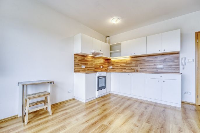 Pronájem, Byt 1+kk, Plasy