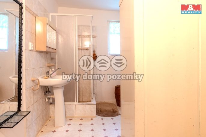 Prodej, Chata, Držková