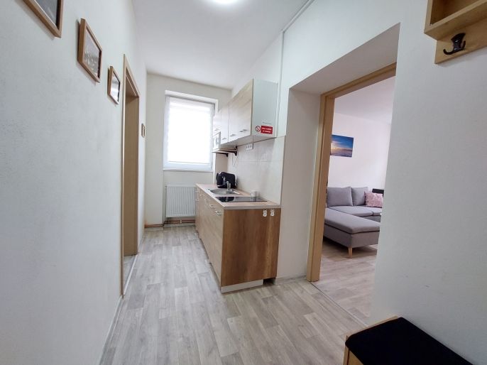 Pronájem, Byt 2+1, Jáchymov