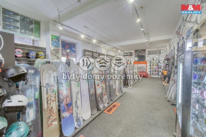Pronájem, Obchod a služby, Plzeň