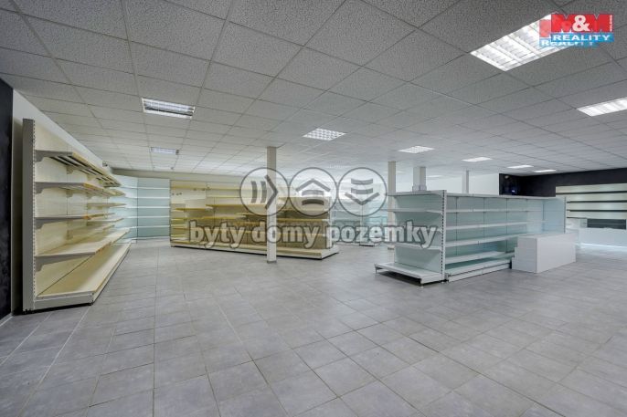 Pronájem, Obchod a služby, Třemošná