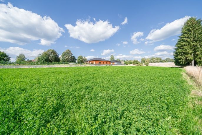 Prodej, Ostatní, Plesná