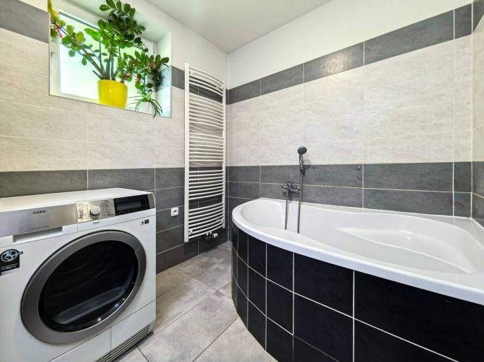 Pronájem, Byt 3+kk, Dolní Dobrouč