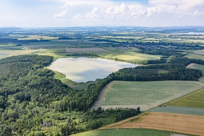 Prodej, Les, Bohuslavice