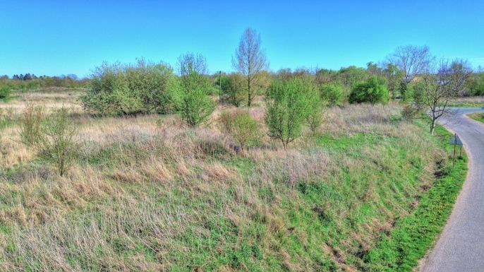 Prodej, Komerční pozemky, Smiřice