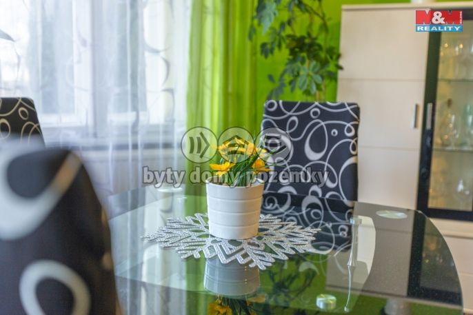 Prodej, Rodinný dům, Slaný