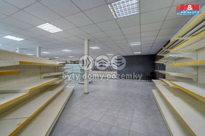 Pronájem, Obchod a služby, Třemošná