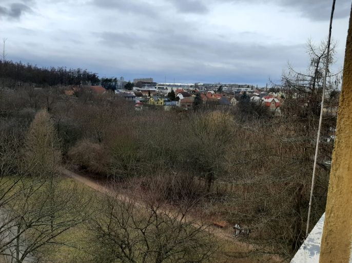 Pronájem, Byt 1+1, Kladno