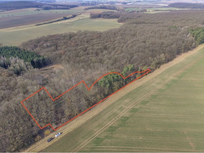 Prodej, Les, Slatiny