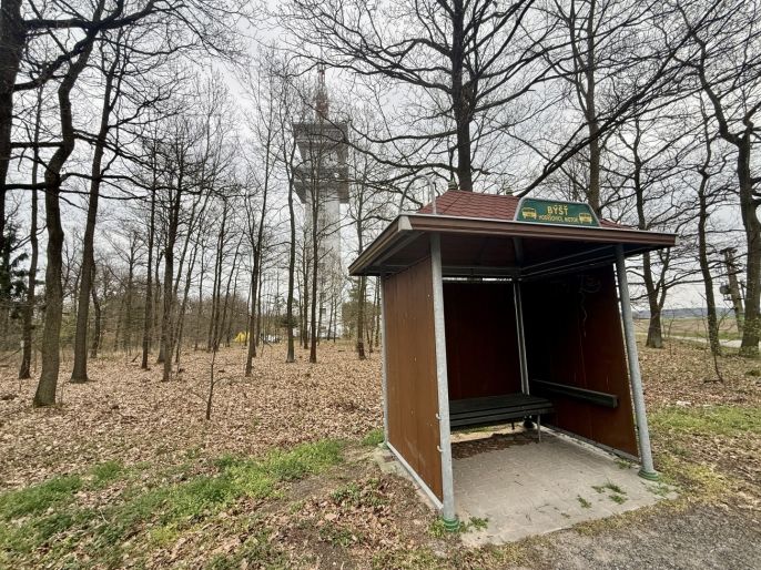 Prodej, Les, Býšť