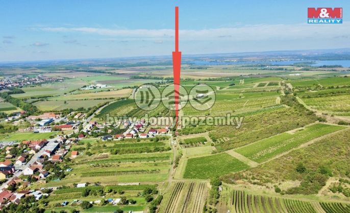 Prodej, Vinný sklep, Perná