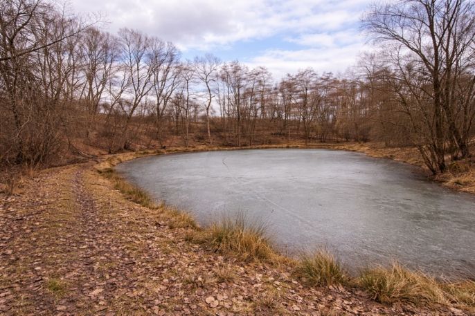 Prodej, Pozemek k bydlení, Křečovice