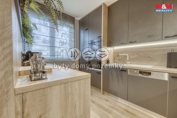 Pronájem, Byt 3+kk, Vochov