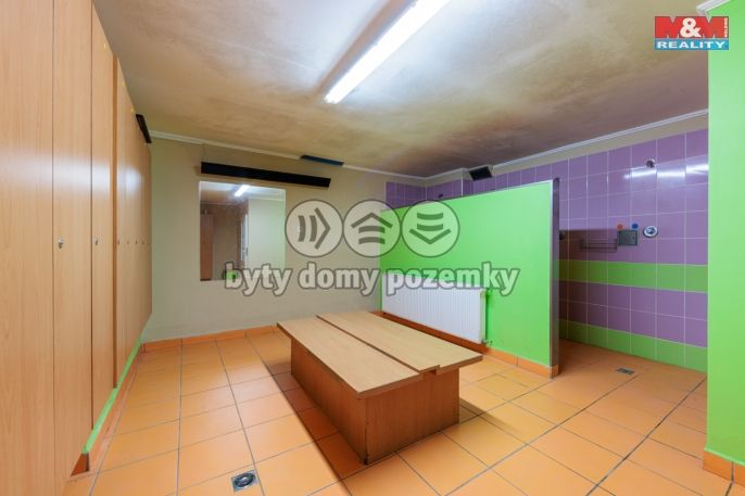 Prodej, Ostatní, Karlovy Vary