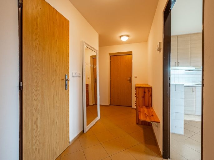 Pronájem, Byt 2+kk, Velké Popovice