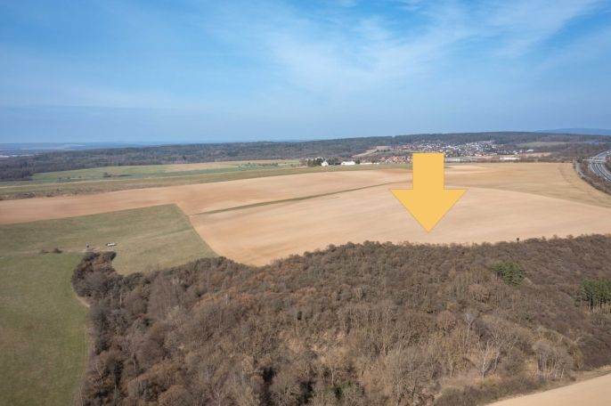 Prodej, Pole, Starý Plzenec