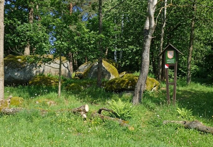 Prodej, Les, Petrovice