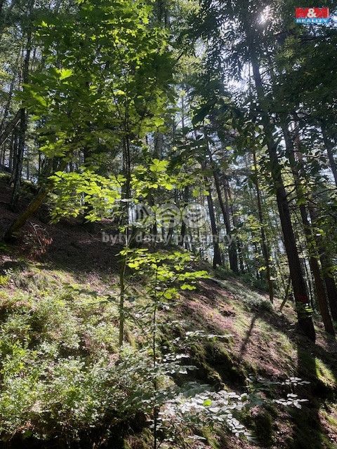 Prodej, Les, Mírová pod Kozákovem