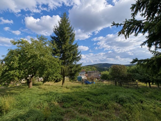 Prodej, Zahrada, Třemešné