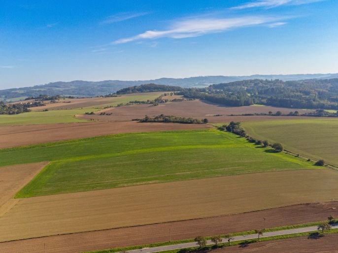 Prodej, Pole, Bystřice