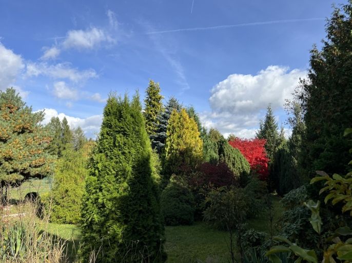 Prodej, Chata, Velké Poříčí