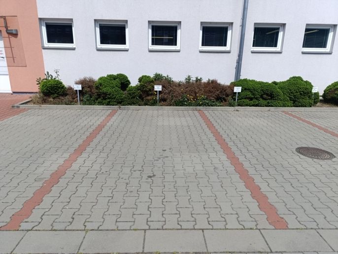Pronájem, Ostatní, Opava