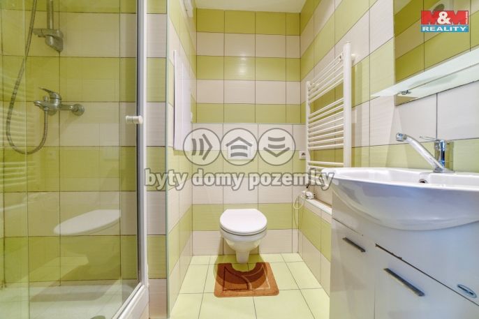 Pronájem, Byt 1+1, Cheb