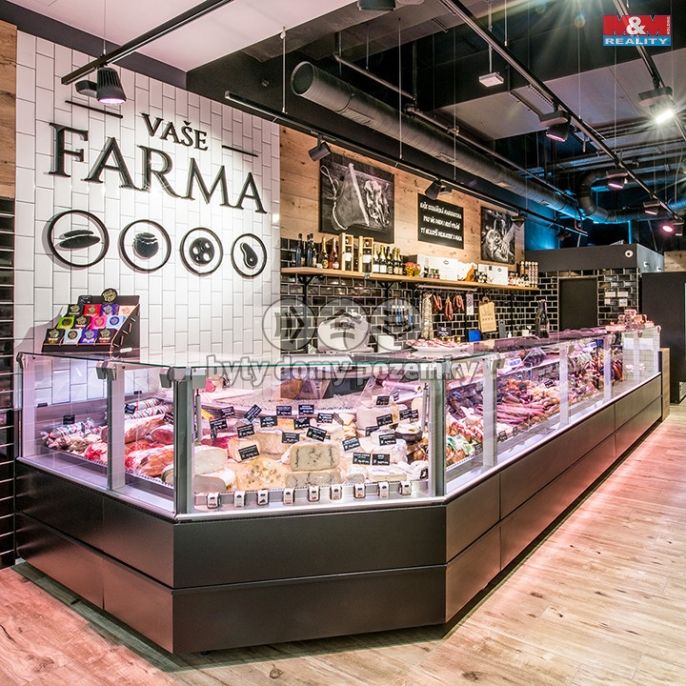 Pronájem, Obchod a služby, Praha