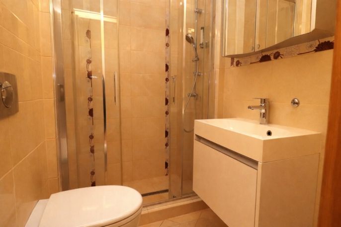 Pronájem, Byt 1+1, Karlovy Vary