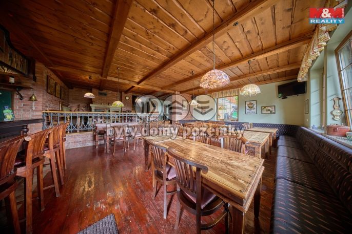 Prodej, Hotel, penzion, Vrchlabí