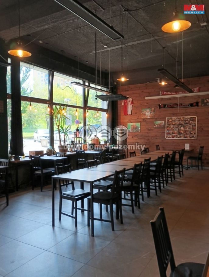 Pronájem, Obchodní objekt, Příbram