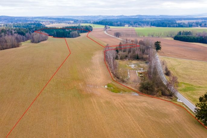 Prodej, Pole, Vysočina