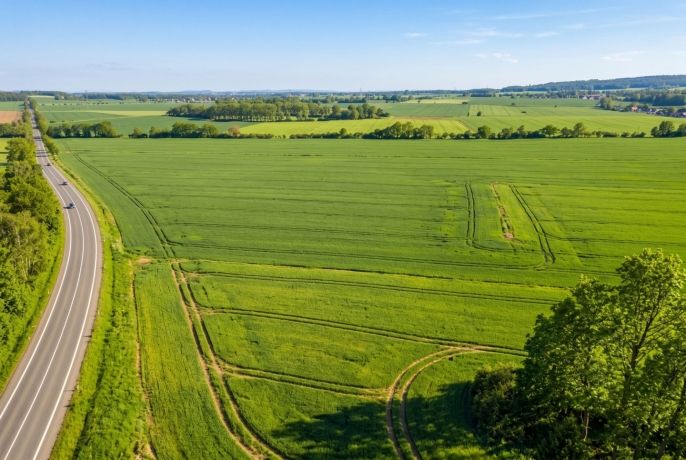 Prodej, Pole, Vodňany