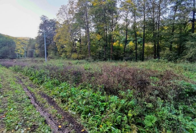 Prodej, Louka, Biskupice