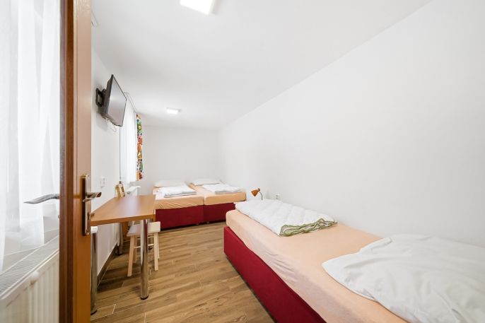 Prodej, Hotel, penzion, Čenkovice