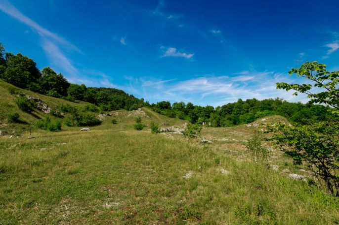 Prodej, Zahrada, Štramberk