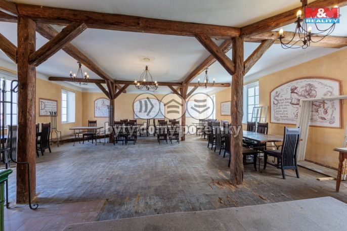 Prodej, Hotel, penzion, Mlečice