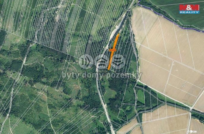 Prodej, Les, Nová Hradečná