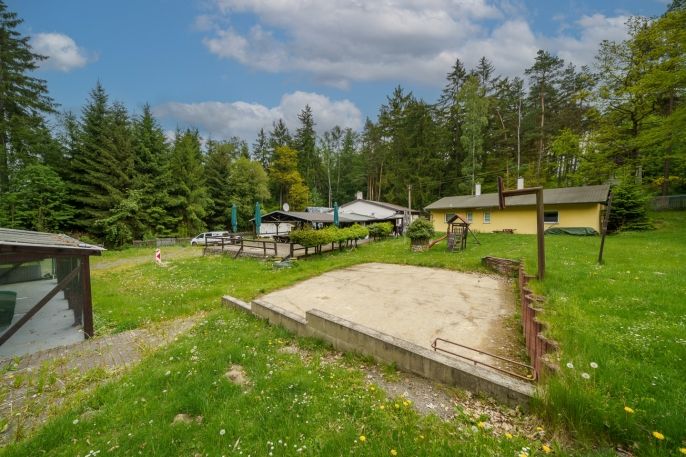 Pronájem, Ostatní, Nová Role