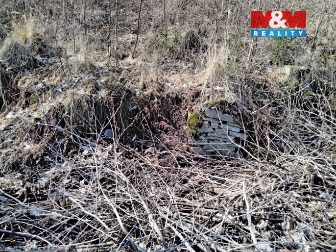 Prodej, Ostatní, Pstruží