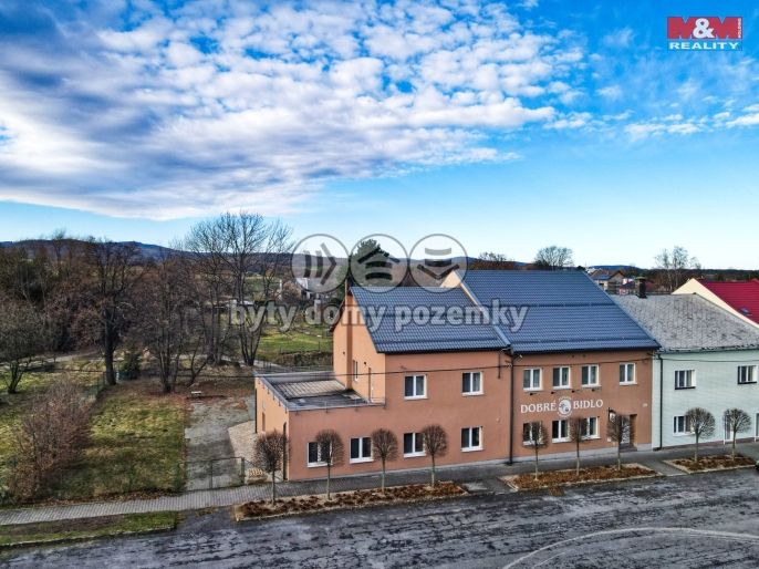 Prodej, Hotel, penzion, Slezské Rudoltice